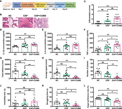 Abnormal prostate microbiota composition is associated with experimental autoimmune prostatitis complicated with depression in rats